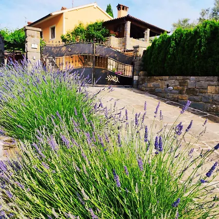 Apartment Wine & Olive Oil Mofardin Koper Exterior photo